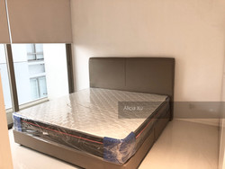 Scotts Square (D9), Apartment #216514311